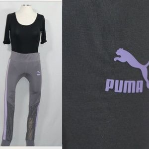 Puma (s)
